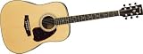 Ibanez Performer Series Acoustic Guitar with Hardshell Case