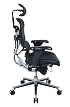 Hot Sale Eurotech High Back Black Mesh Executive Chair - Ergohuman LEM4ERG
