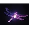 Gardman Solar Crystal Glowlight Dragonfly