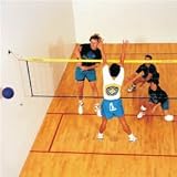 Official Wallyball  Game Kit (CT)