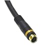 Cables To Go - 29160 - 25ft Velocity S-Video Cable (Black)