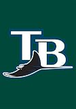 Tampa Bay Rays Window Flag