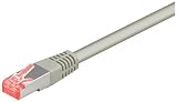 Wentronic CAT6 SSTP Netzwerkkabel (2x RJ45, 1m) grau