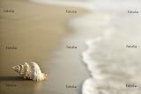 'Conch Shell On Sand With Waves.' Wall Decal - 24"W x 16"H Removable Graphic