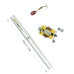Pen Fishing Rod