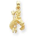14kt Yellow Gold 3-D Aquarius Zodiac Pendant