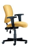 Census Chair