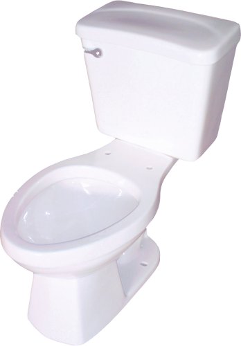 Buy Crane Plumbing SureFlush 1.6 GPF / 6.0 LPF Vitreous China Elongated Toilet Bowl #31212