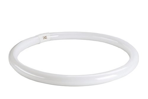 SLV T8-Ringform Leuchtstofflampe,