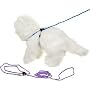 Four Paws Safety Cat Leash and Harness