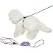 Four Paws Safety Cat Leash and Harness