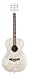 Musical Instruments : Daisy Rock Pixie Acoustic, Silver Sparkle