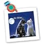 Cats - Be Mine Two Cats - Quilt Squares