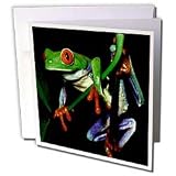 Frogs - Frog - Greeting Cards-12 Greeting Cards with envelopes