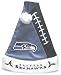 Seattle Seahawks Color Block Santa Hat