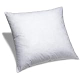 Pinzon Feather And Down 26-Inch Square Euro Pillow Insert by 