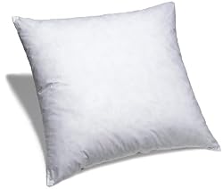 Pinzon Feather And Down 26-By-26-Inch European Pillow