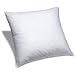 Pinzon Feather And Down 26-Inch Square Euro Pillow Insert