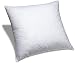Pinzon Feather And Down 26-Inch Square Euro Pillow Insert