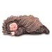 12" Anne Geddes Baby Hedgehog