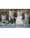 Calico Critters Fisher Cat Family