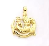 14kt gold Aquarius zodiak charm
