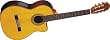 Takamine EG522C G Series Acoustic-Electric Nylon String Guitar, Natural