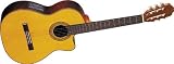 Takamine EG522C G Series Acoustic-Electric Nylon String Guitar, Natural