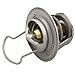 Pentair 380000007S Thermal Regulator Kit (Incl Spring Clip)