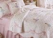 Ballet Lessons Twin Quilt with Pillow Sham