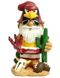 Arizona Cardinals Second String Thematic Garden Gnome