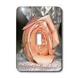 Beverly Turner Birthday Photography - Peach Rose with Vase Happy Birthday - Light Switch Covers - single toggle switch