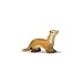 Marten