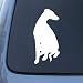 WHIPPET SILHOUETTE - Dog Vinyl Car Decal Sticker #1568 | Vinyl Color: White