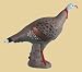 $$ RINEHART TOM TURKEY TARGET