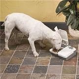  : PetSafe 2-Meal Pet Feeder