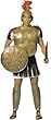 Centurian Armour 5pc Adult Costume