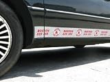 Boston Red Sox Car Trim Magnet.