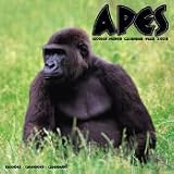 2008 APES 16 MONTH PINUP WALL CALENDAR