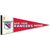 MINNESOTA WILD OFFICIAL LOGO CAR WINDOW FLAG
