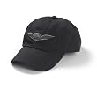 Shield Wings Hat