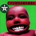 Tubthumping