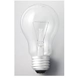 クリアー電球　６０Ｗ　LC100V60W/55