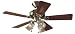 Hunter 20430 Beacon Hill Three-Light 42-Inch Five-Blade Ceiling Fan, Antique Brass with Clear Globes