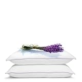 Luxury Lavender Infused Aromatic Medium Support Pillow Pair