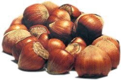 hazelnut flavor powder