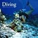 Diving 2010 Wall Calendar