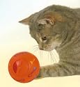 Cat Treat Ball