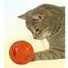 Trixie Balle Snacky pour Chats 7 cm