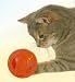 Outdoor Living : Cat Treat Ball (P)(4137)
